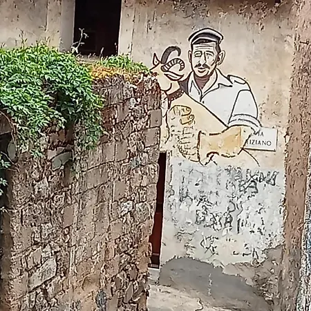 بيت ضيافة Mont'isoro *