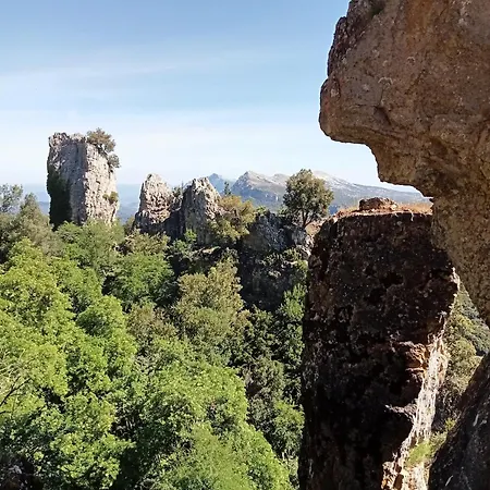 بيت ضيافة Mont'isoro *